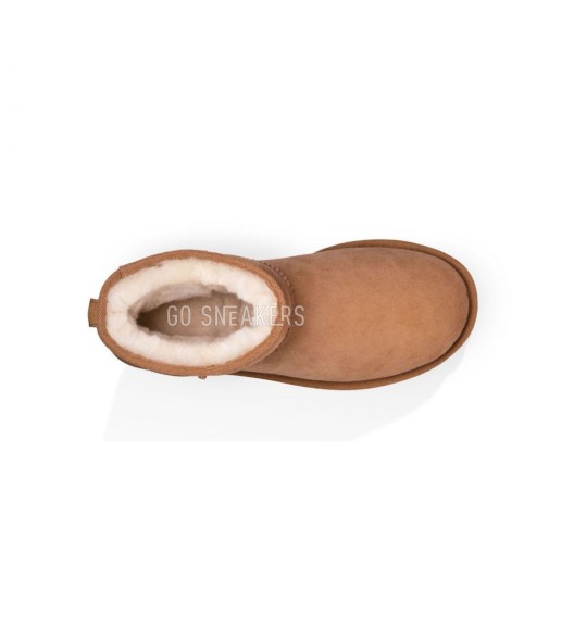 Мужские мини угги Mens Classic Mini II Chestnut