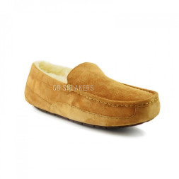 Men's Ascot Chestnut