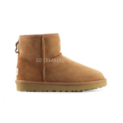 Непромокаемые Classic Mini Chestnut II